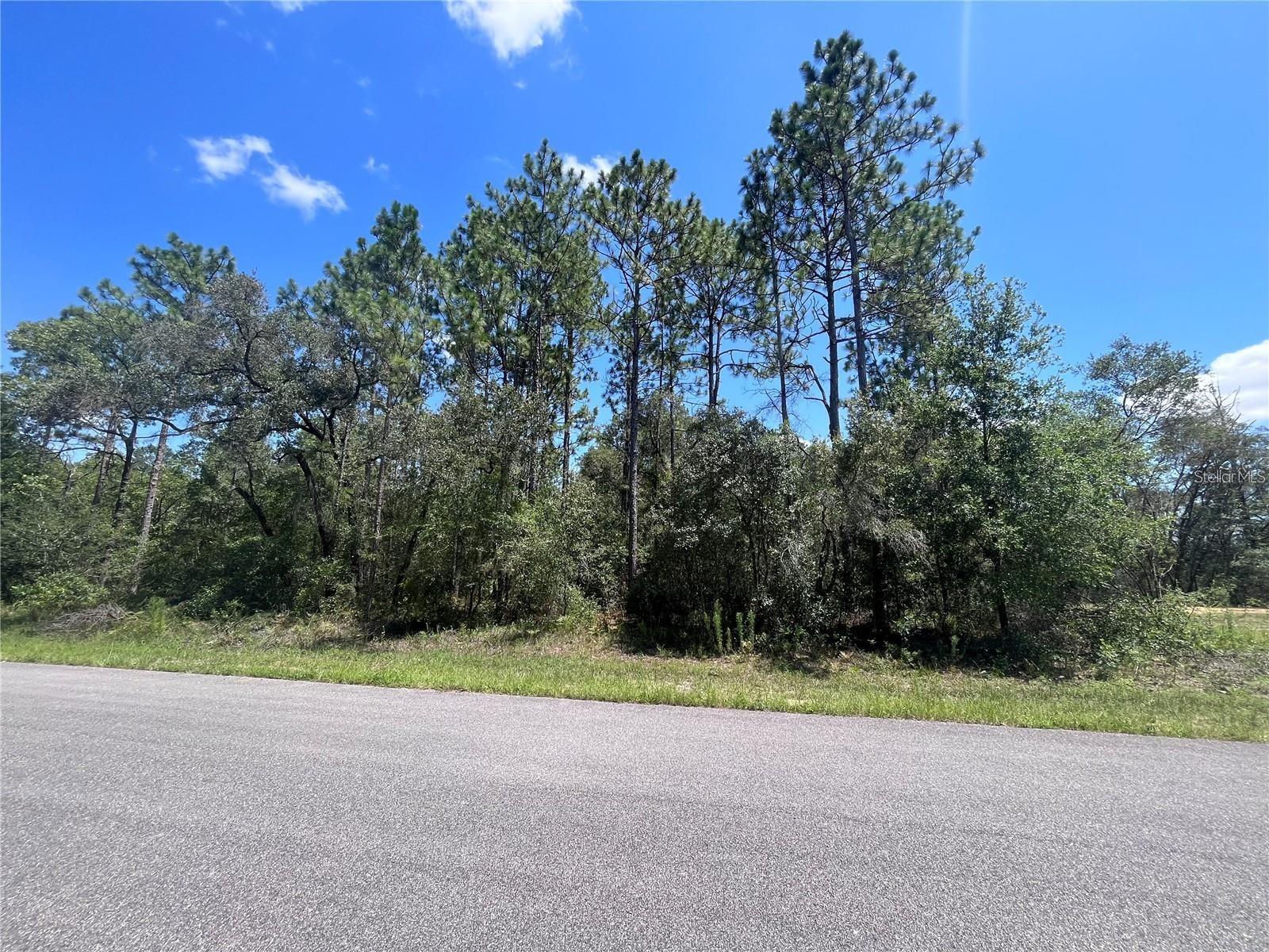 8010 POCONO, CITRUS SPRINGS, Land,  for sale, Florida Real Estate Team, Inc